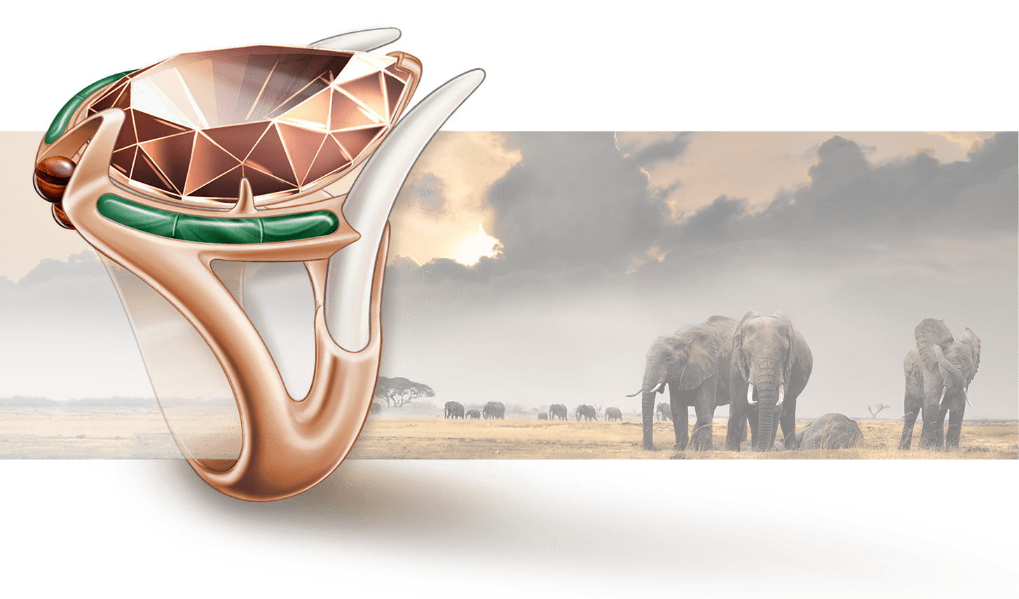 Bague Loxodonta ©Pierre-Aymeric Ledoux Dessin d'une bague hommage à l'éléphant d'Afrique